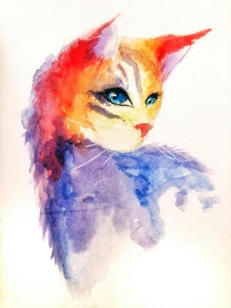 une chatte multicolore