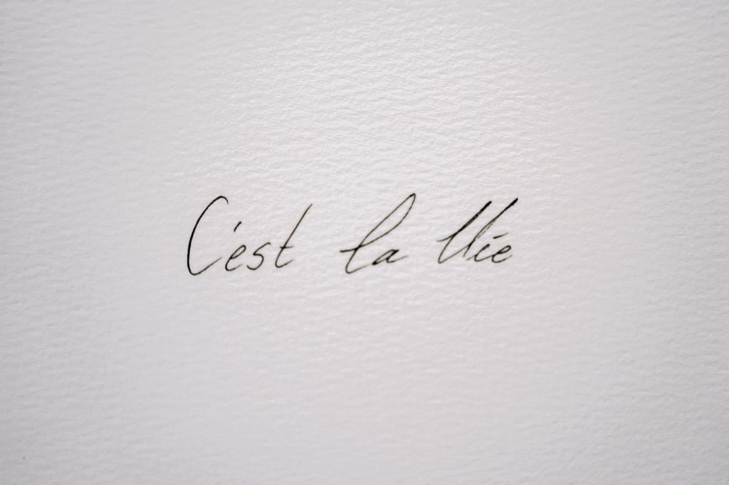 c'est la vie