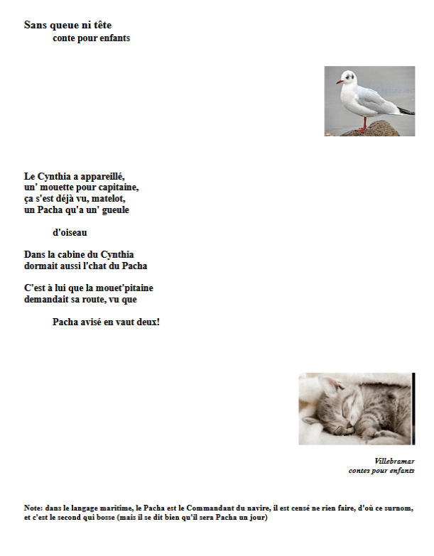 un conte poétique illustré par un chat et une mouette...